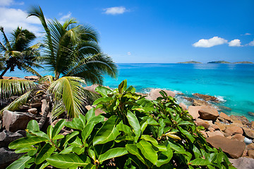 Image showing Beautiful rocky coast in Seychelles