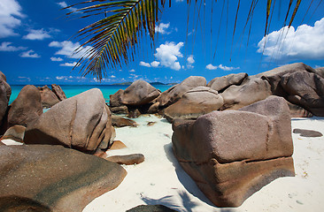 Image showing Beautiful rocky coast in Seychelles