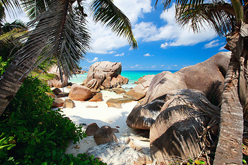 Image showing Secluded beach in Seychelles