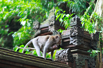 Image showing Details of temple in Ubud monkey forest