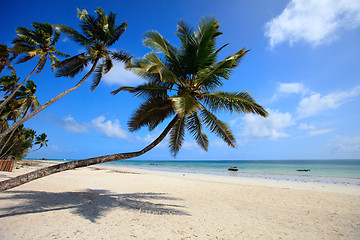 Image showing Tropical beach