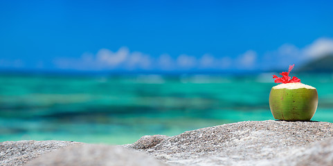 Image showing Coconut on tropical coast