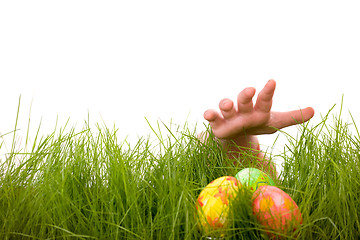 Image showing Easter egg hunt