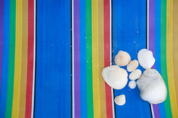 Image showing Shells on colorful background