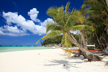 Image showing Tropical Paradise