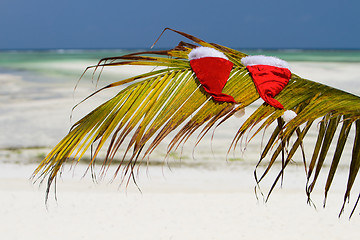 Image showing Santa hats on palm leave