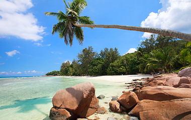 Image showing Perfect beach in Seychelles