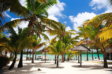 Image showing Tropical Destination