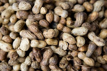 Image showing Peanuts