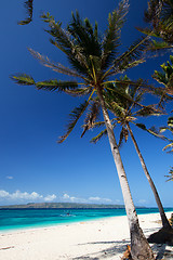 Image showing Tropical Paradise