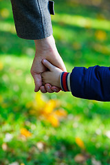Image showing Father and son hands
