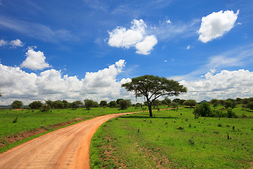 Image showing Tarangire national park