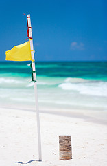 Image showing Yellow warning flag at beach