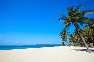 Image showing Tropical Paradise