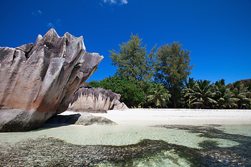 Image showing Idyllic beach in Seychelles