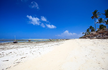 Image showing Tropical beach