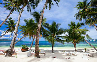 Image showing Perfect tropical beach with palm trees