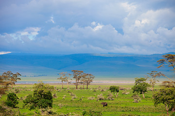Image showing Landscape of Ngorongoro crater in Tanzania
