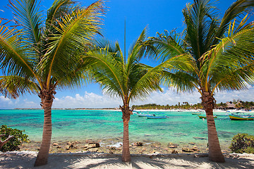 Image showing Akumal beach in Mexico