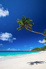 Image showing Perfect beach in Seychelles