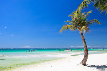 Image showing Perfect beach