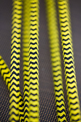 Image showing Yellow And Black Rope