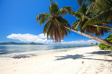 Image showing Perfect beach in Seychelles