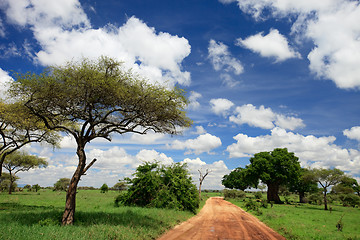 Image showing Tarangire national park