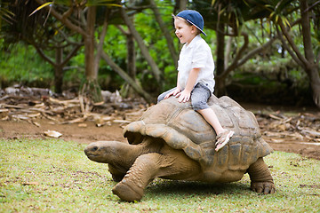 Image showing Riding Giant Turtle