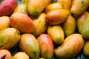 Image showing Mango