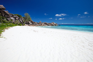 Image showing Stunning beat in Seychelles