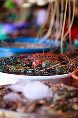 Image showing Seafood market