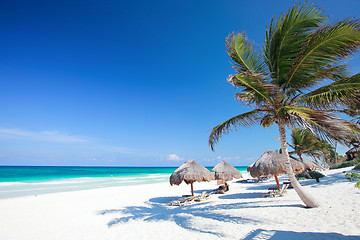 Image showing Beautiful Caribbean beach