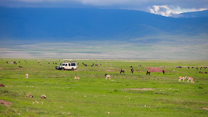 Image showing Game drive