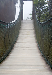 Image showing Wooden bridge