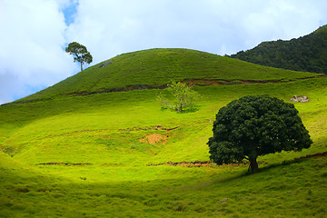 Image showing Eco Tourism