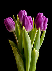 Image showing Spring bouquet