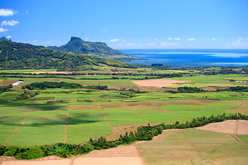 Image showing Mauritius