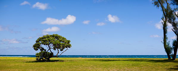 Image showing Seascape