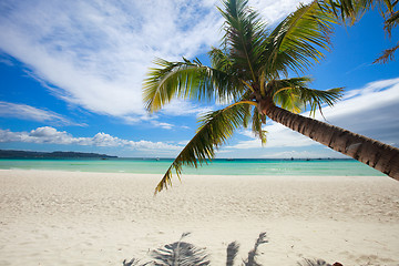 Image showing Tropical Paradise