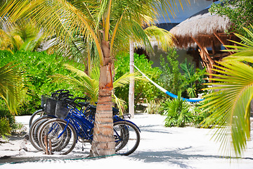 Image showing Bicycles at tropics