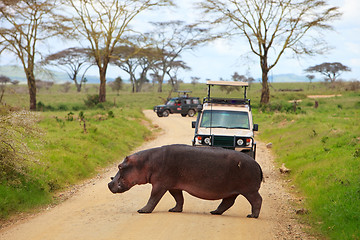 Image showing Game drive