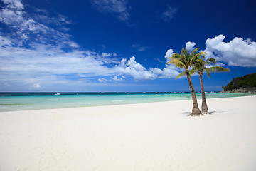 Image showing Perfect beach
