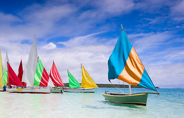 Image showing Regatta