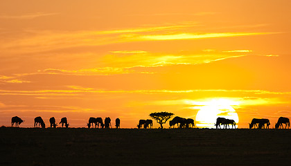 Image showing African sunrise