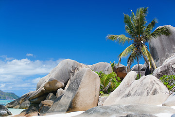 Image showing Anse Source d'Argent beach