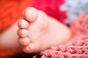 Image showing Baby feet