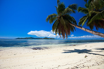 Image showing Perfect beach in Seychelles