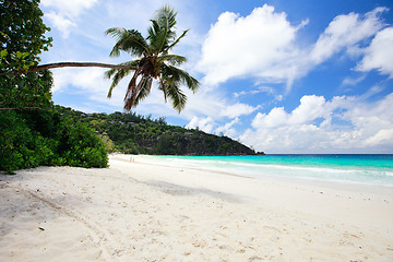 Image showing Idyllic tropical beach