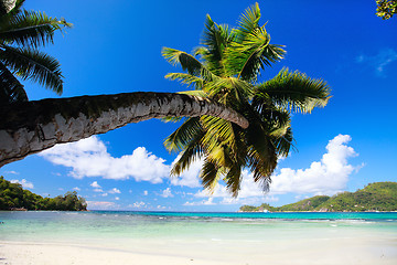 Image showing Perfect beach in Seychelles